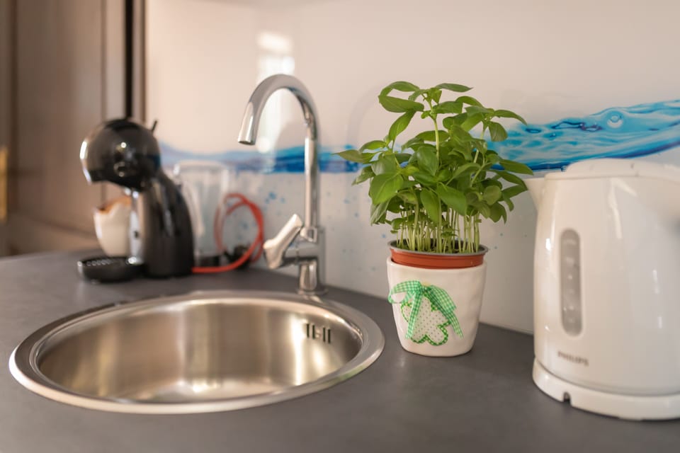 City Studio | Private kitchen | Mini-fridge, microwave, stovetop, espresso maker