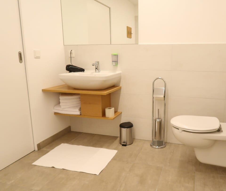 Shower, hair dryer, heated floors, towels
