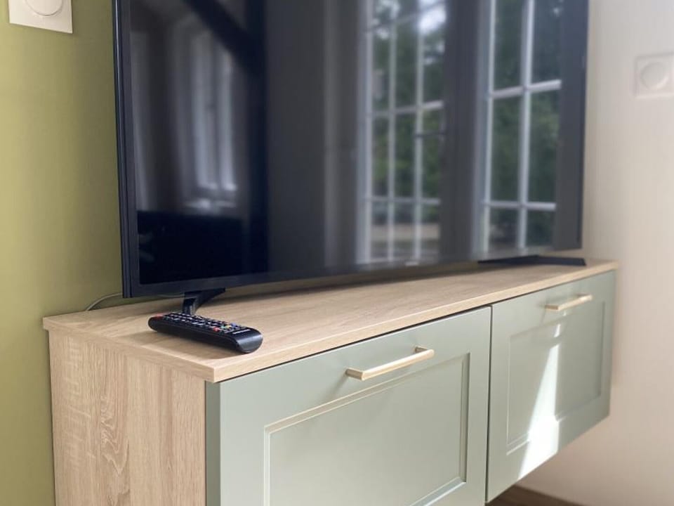 Television