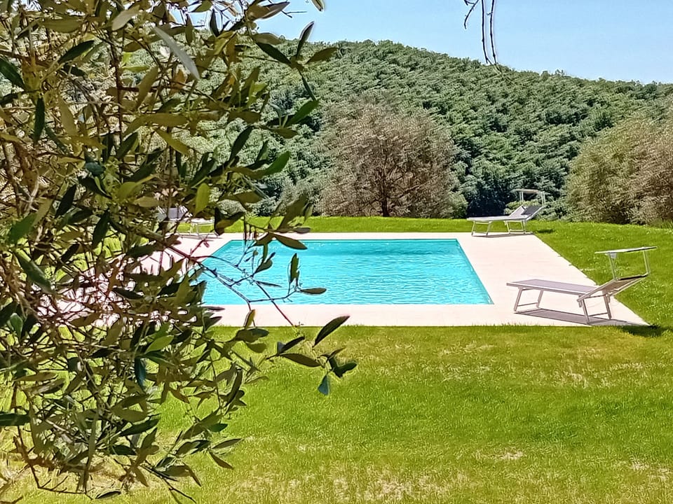 Pool in the nature