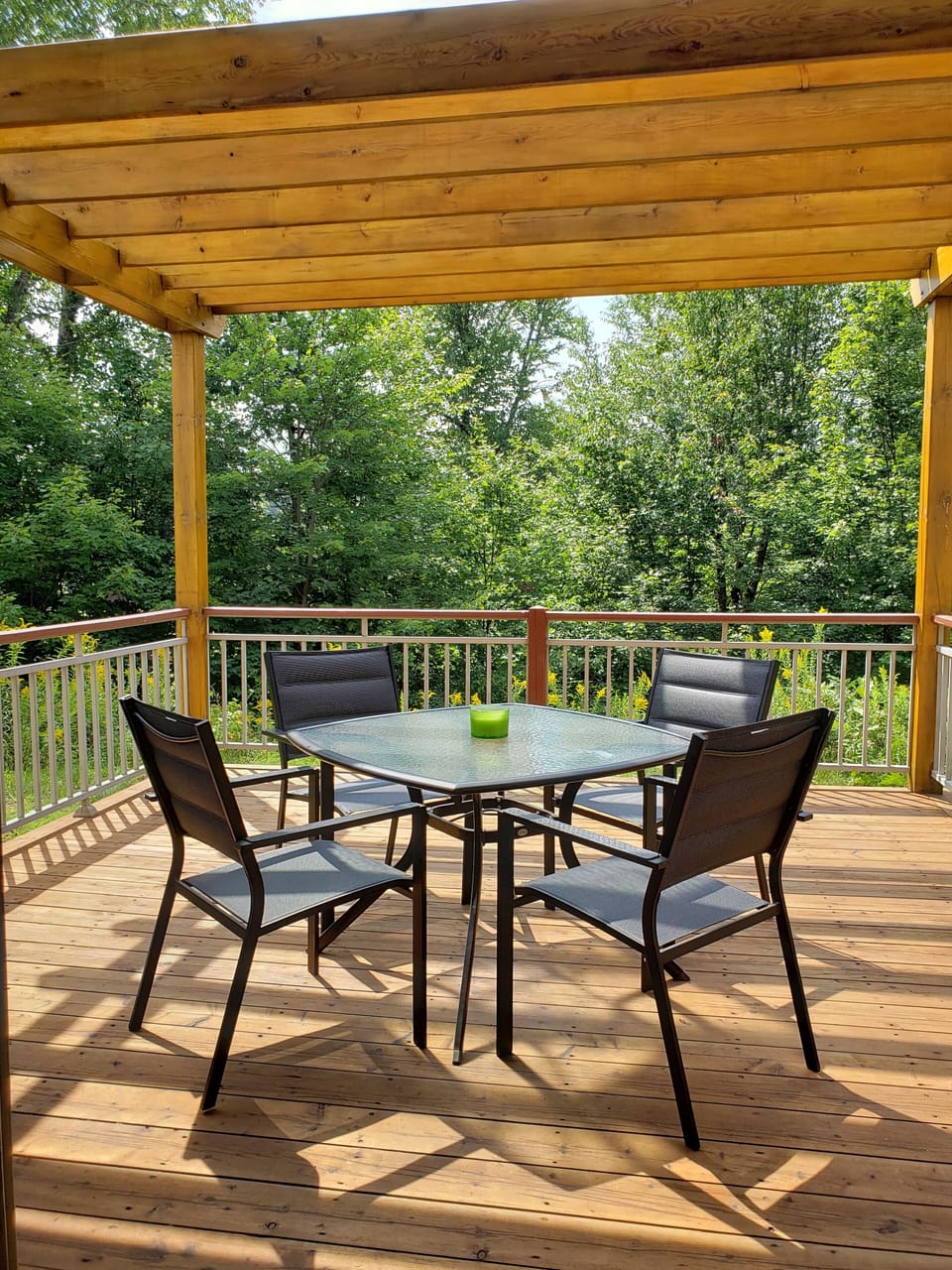 Backyard deck