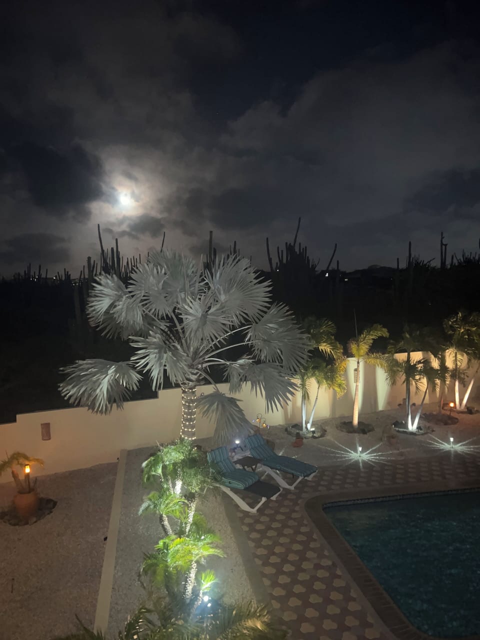 Moon and pool area view from the upper patio