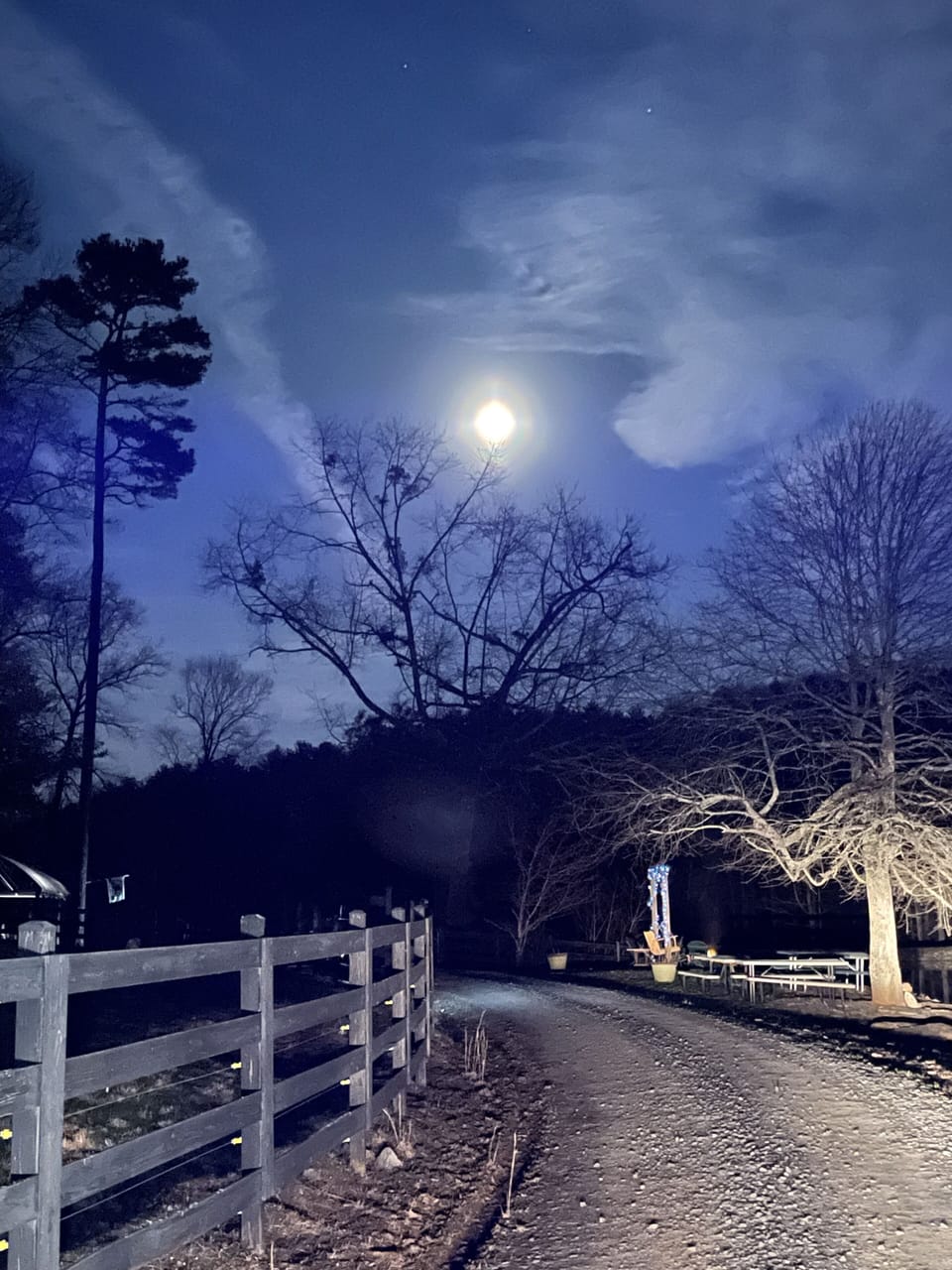Picture perfect nights! 🌌
