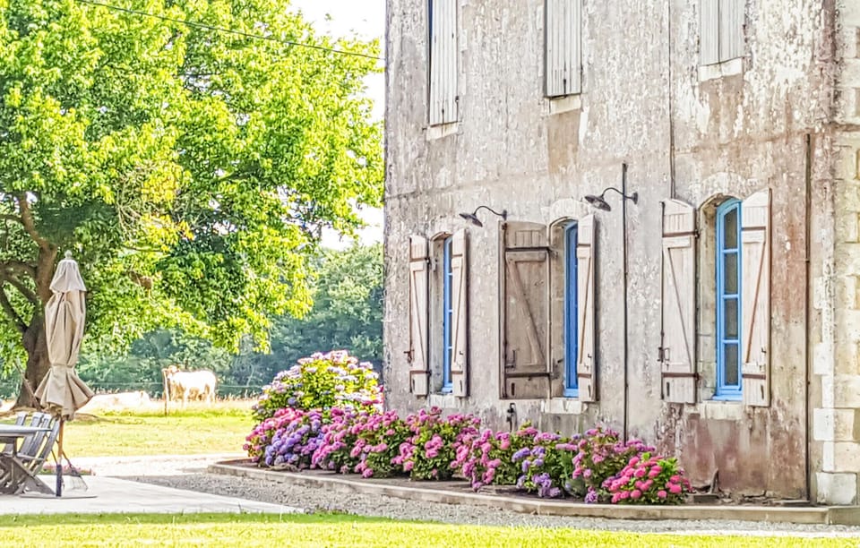 outside
