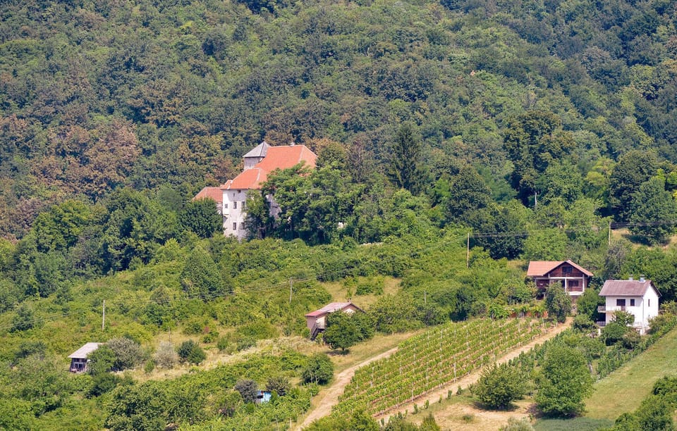 view-from-room