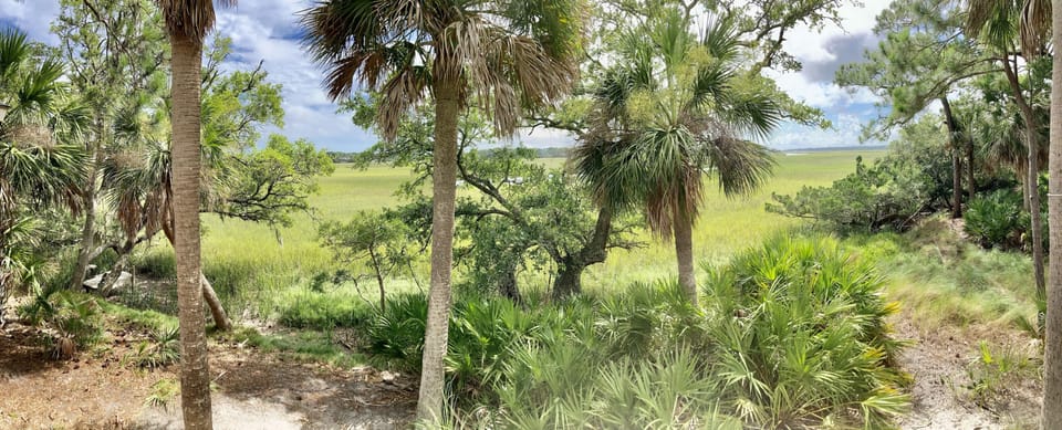 Marsh views.