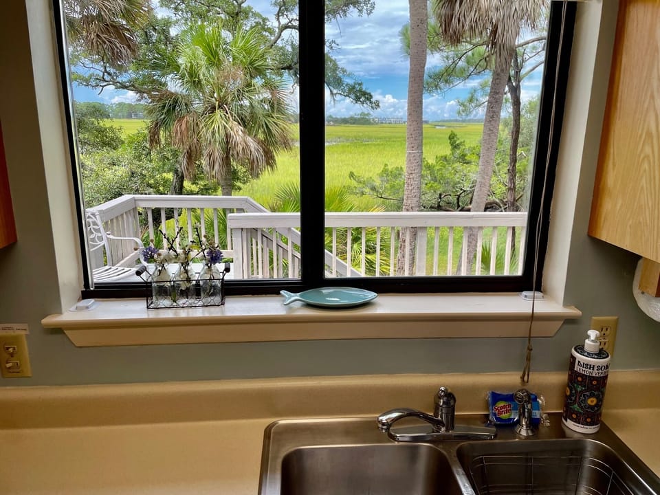 View from the kitchen sink.