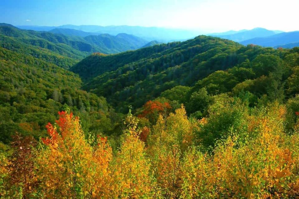 Enjoy some great scenery and fantastic drives through the mountains during the fall! Note, this is not a picture of the view from the house but in the Smoky Mountains
