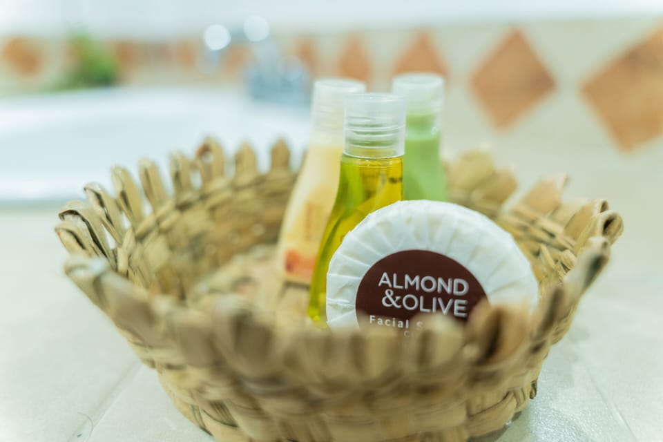 Elite Room | Bathroom | Shower, free toiletries, hair dryer, towels
