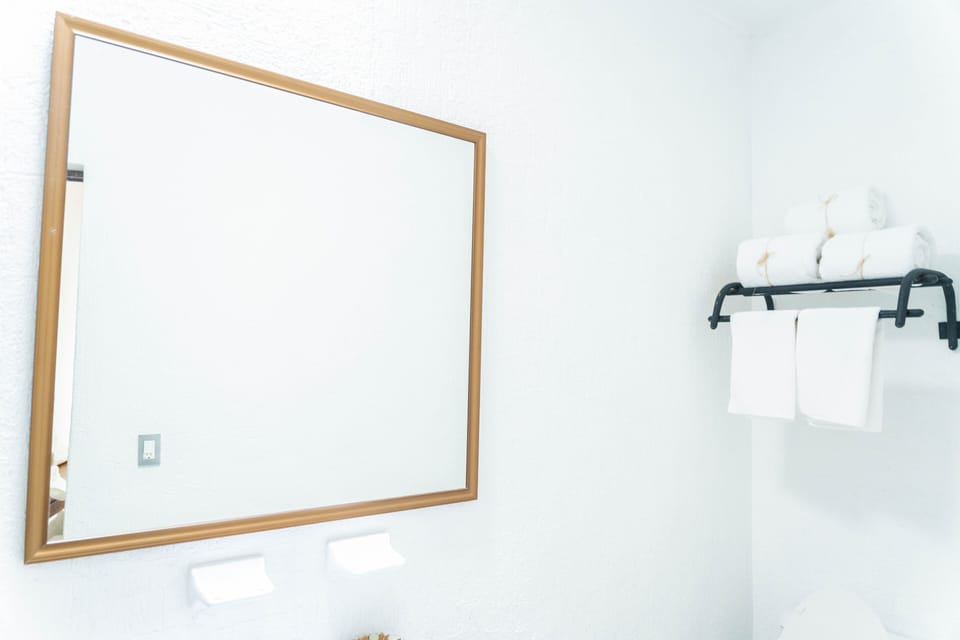 Elite Room | Bathroom | Shower, free toiletries, hair dryer, towels