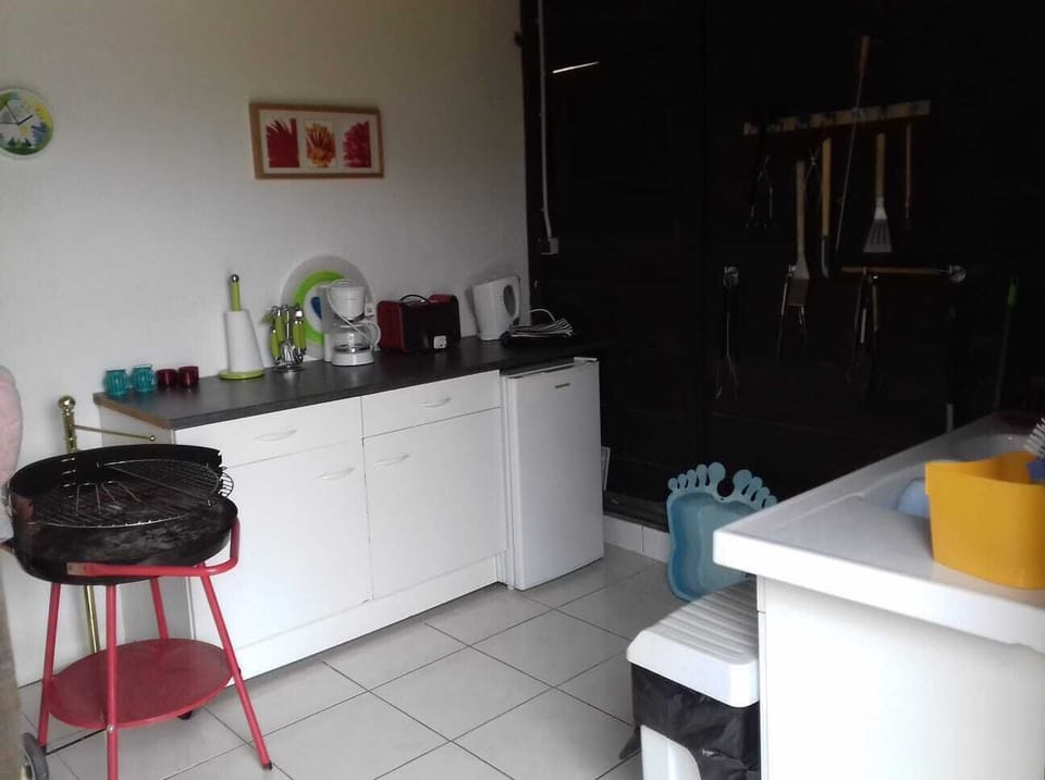 Kitchen area pool house