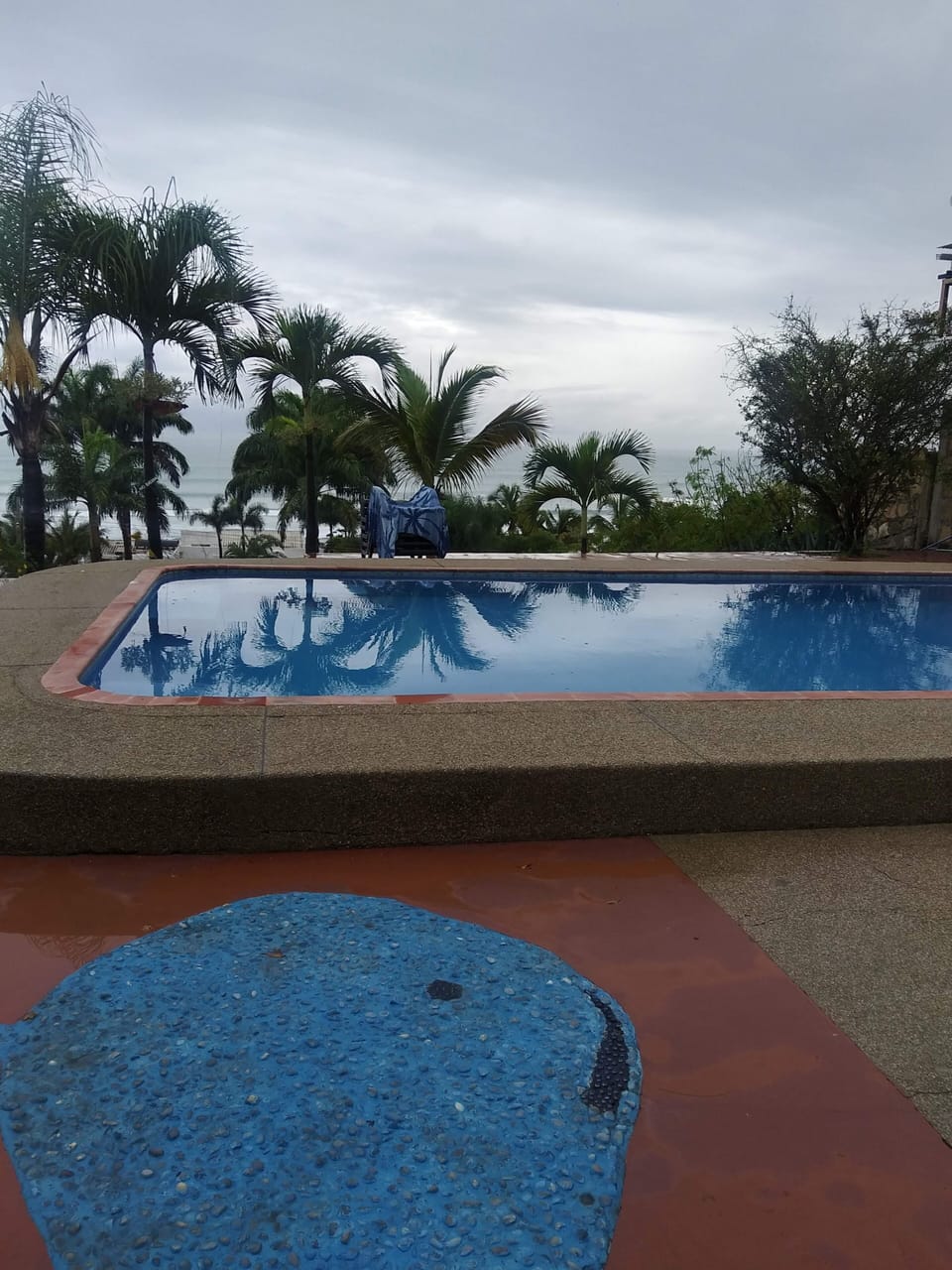 Artistic hand painted whale floor in the pool area.