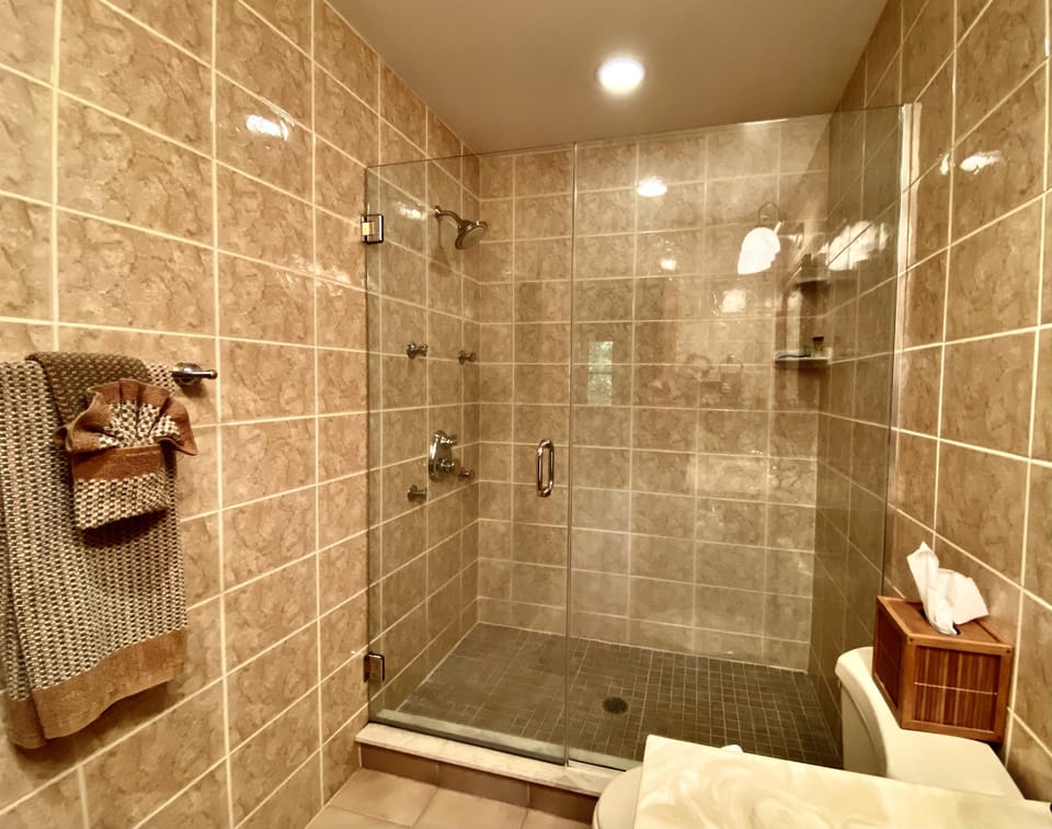Master En-Suite Shower with Several Body Jets