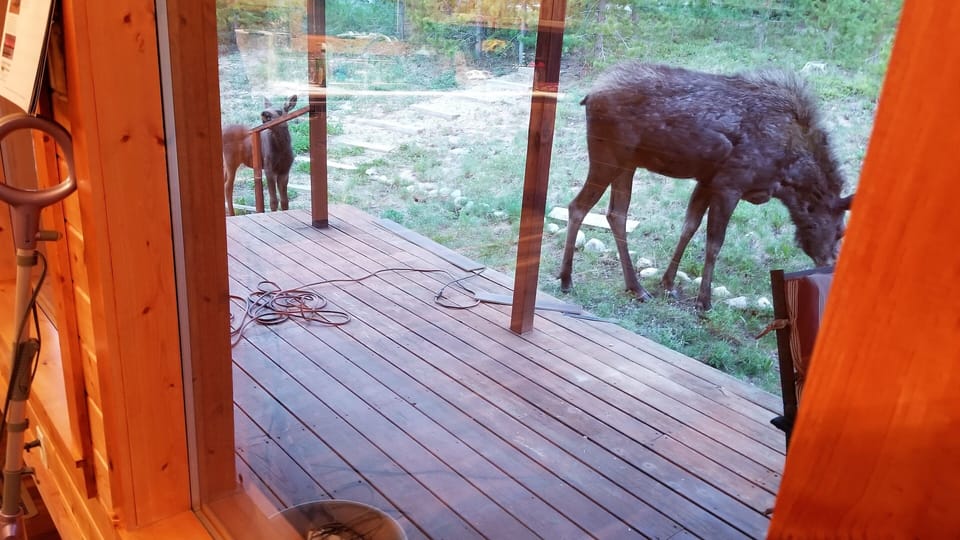 View from property