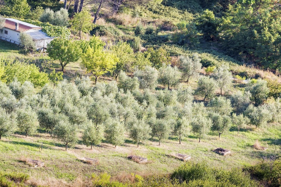 Roccastrada landscape