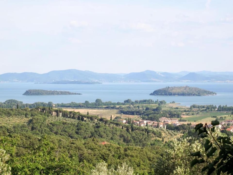 Region [summer] (>5 km)
