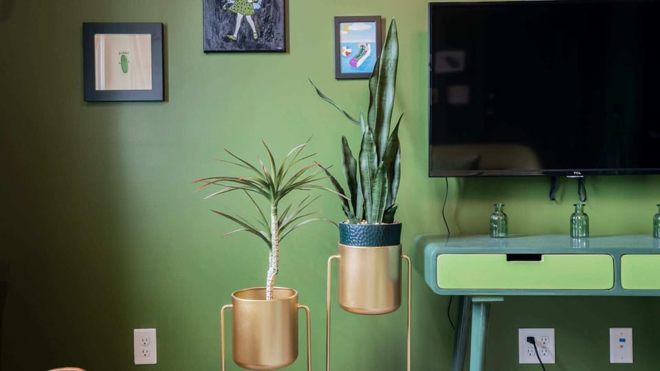 Plants watered by pickle juice! (Joking)