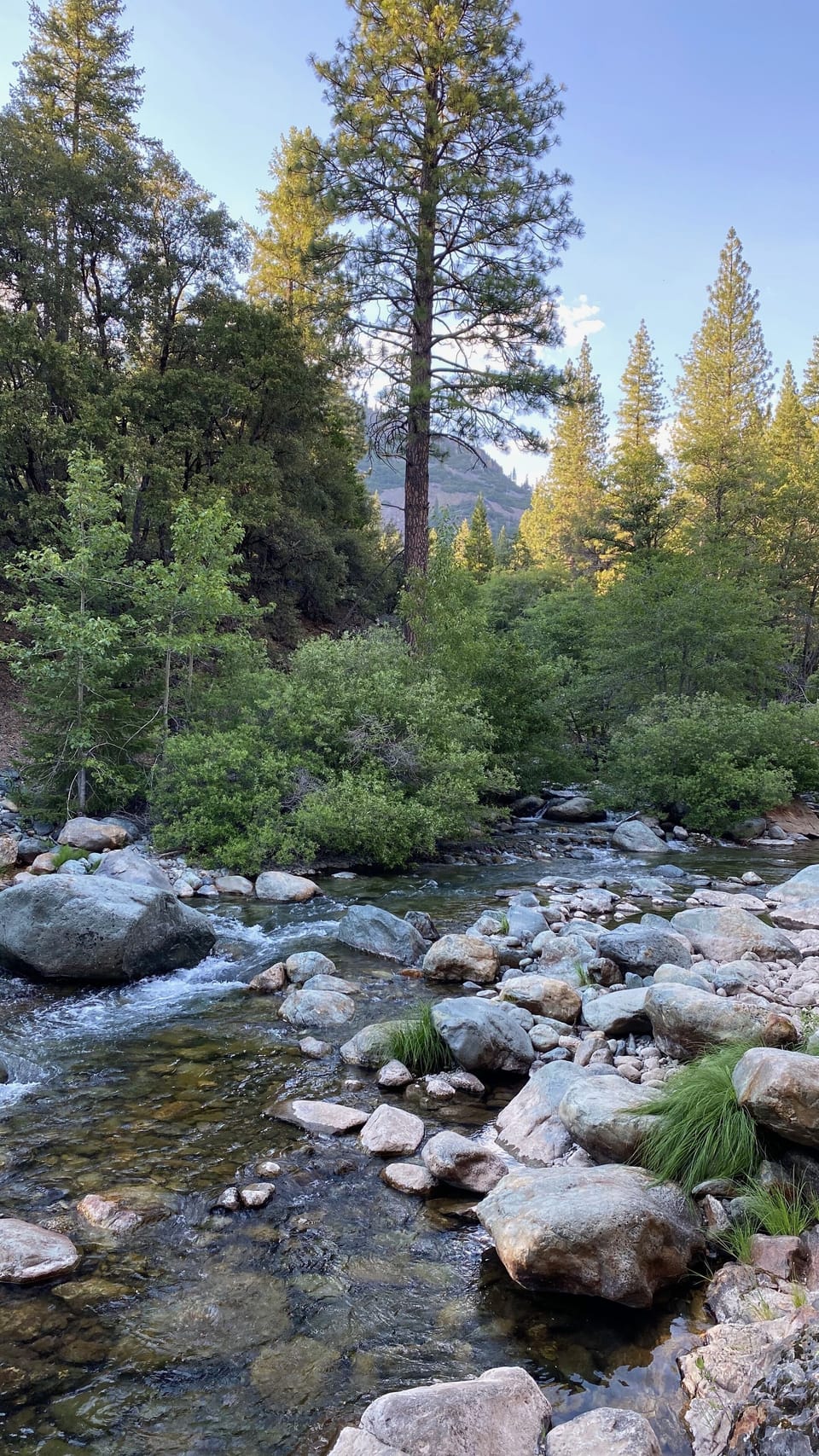 Hanging in the river is endlessly fun.