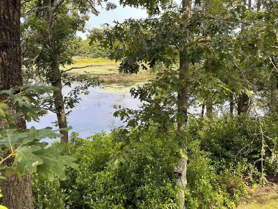 Pond-front views from every corner of Cape Cod Villa—nature’s beauty all around