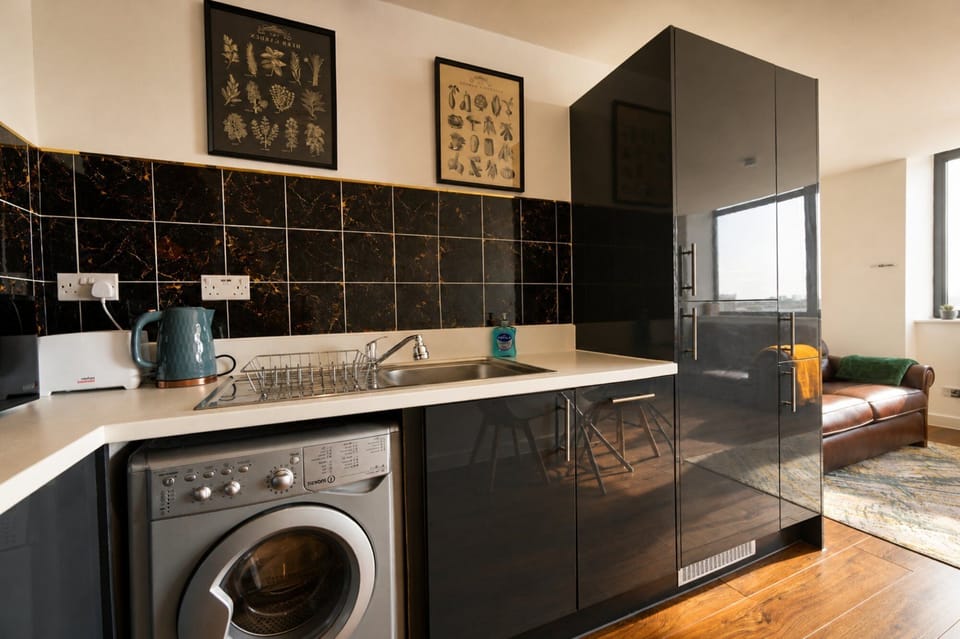 Executive Apartment | Private kitchen | Full-size fridge, microwave, oven, stovetop