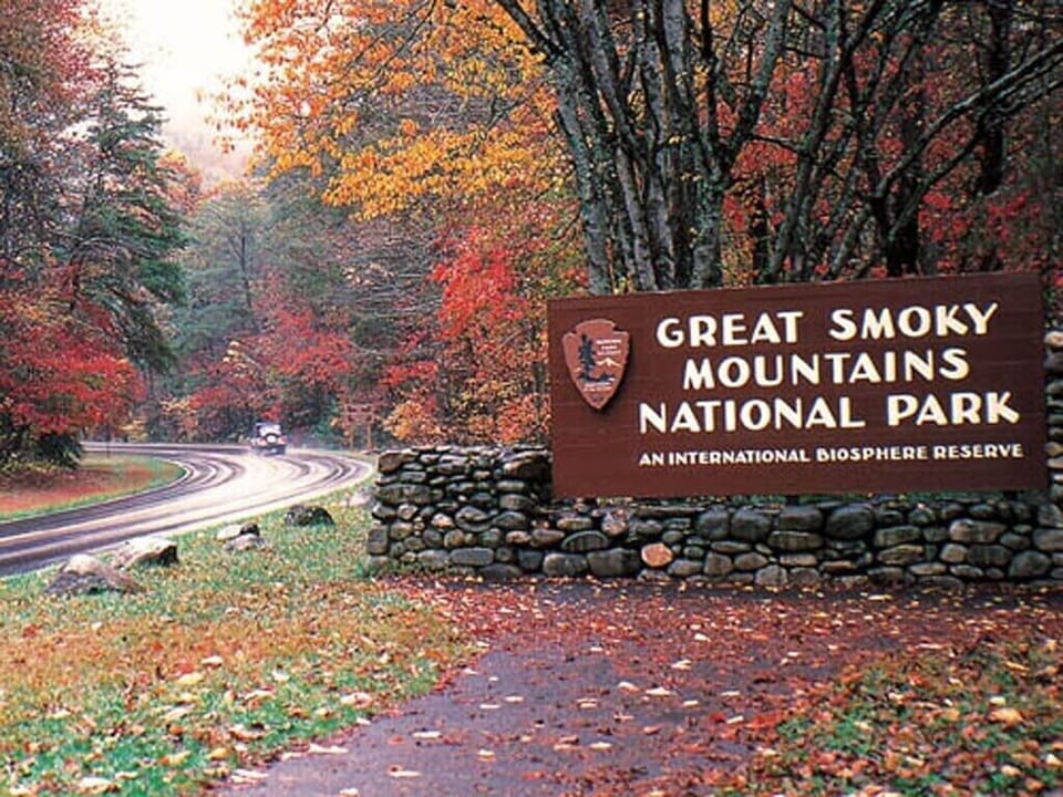 Take in one of the amazing hikes