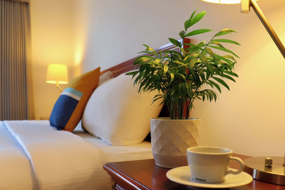 Iron/ironing board (on request), WiFi (free), bed sheets