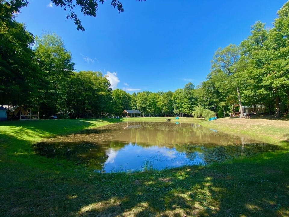 Looking from the bottom of pond to the top of the site. 