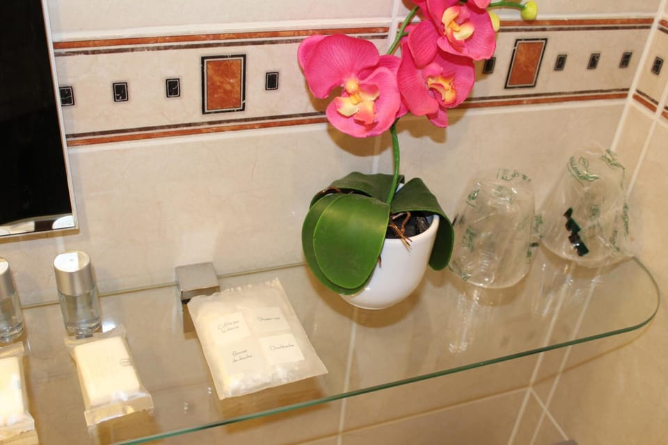 Shower, free toiletries, hair dryer, towels
