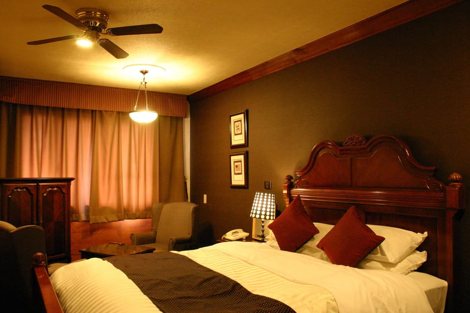 Iron/ironing board (on request), WiFi (free), bed sheets