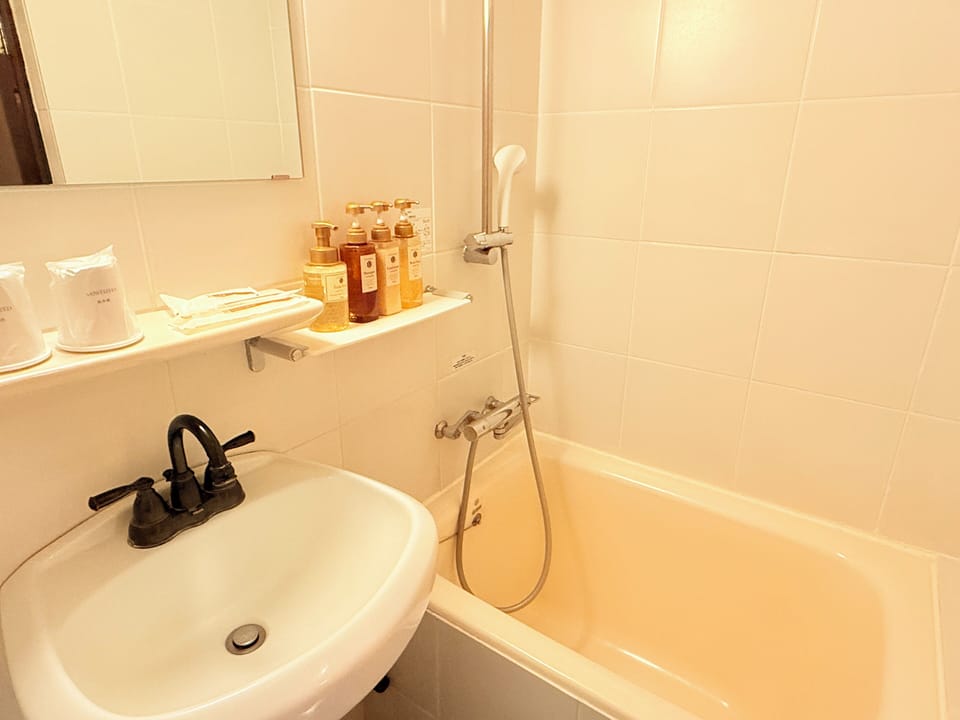 Combined shower/tub, free toiletries, hair dryer, slippers