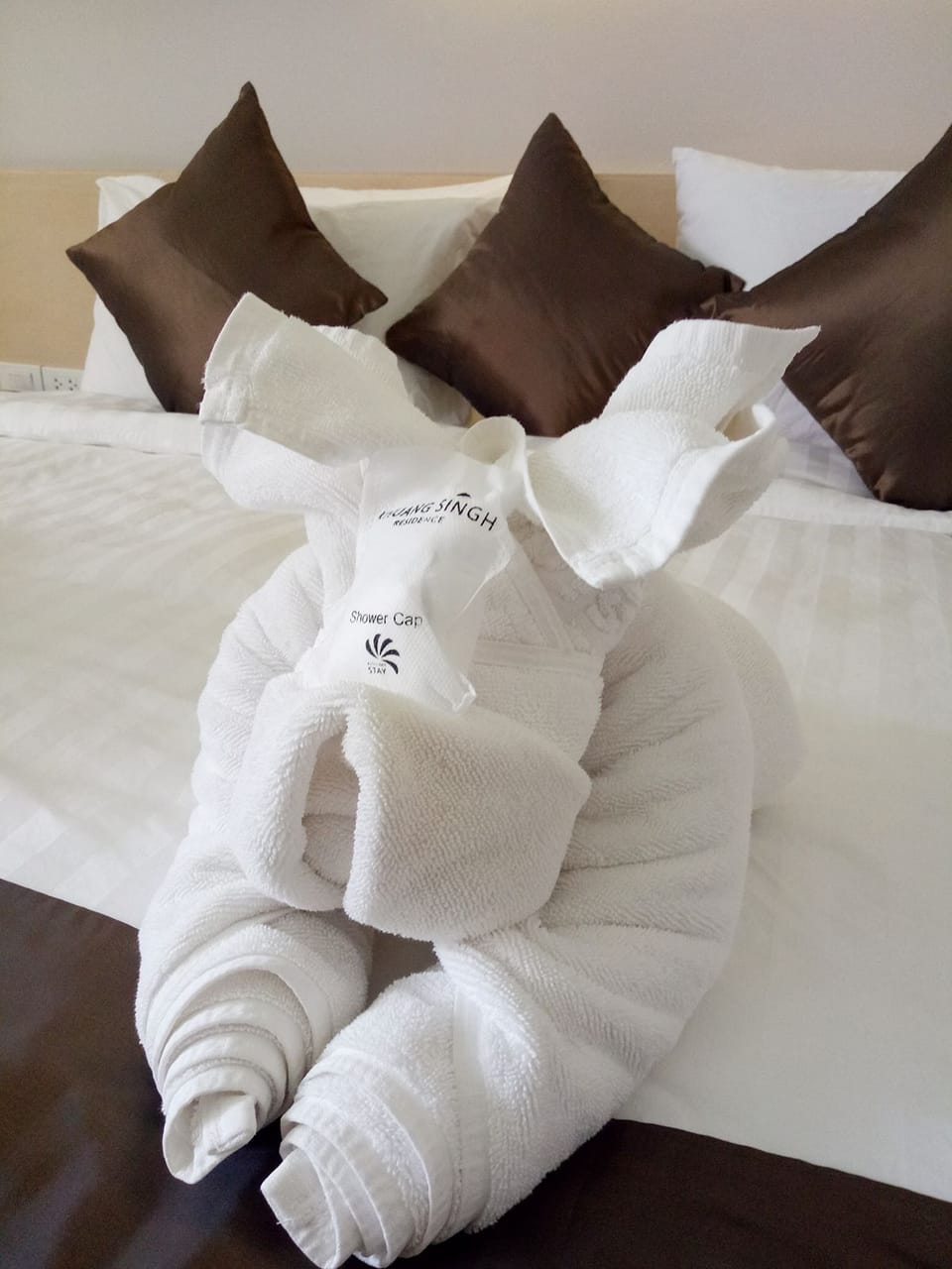 Suite Room | Egyptian cotton sheets, premium bedding, memory foam beds, minibar