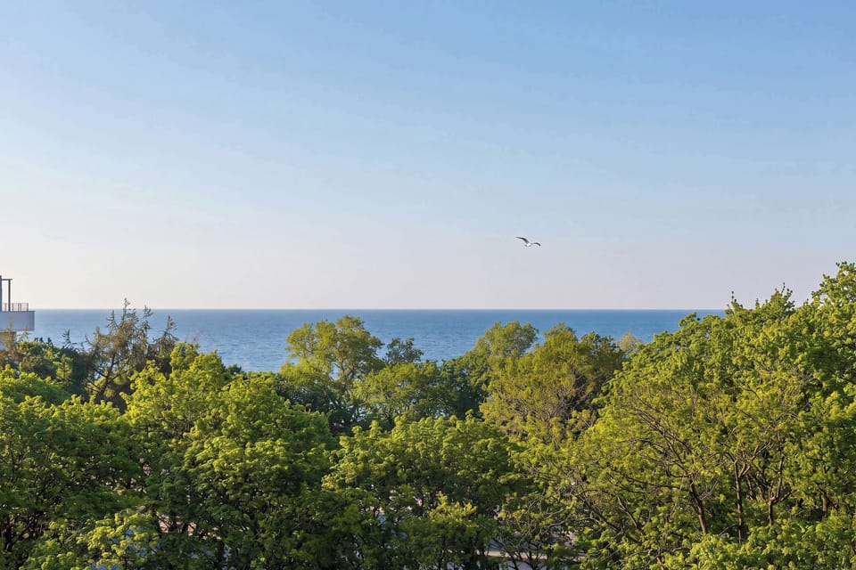 A scenic view of the sea visible above green treetops under a clear sky.