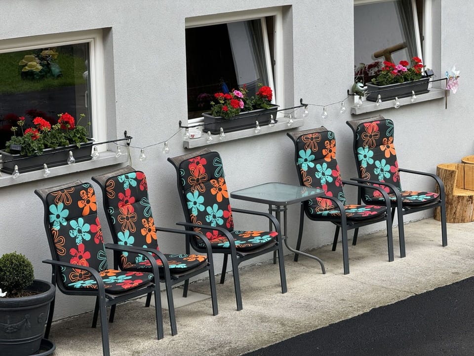 Plant, Window, Furniture, Flowerpot, Houseplant, Building, House, Flower, Flooring, Human Settlement