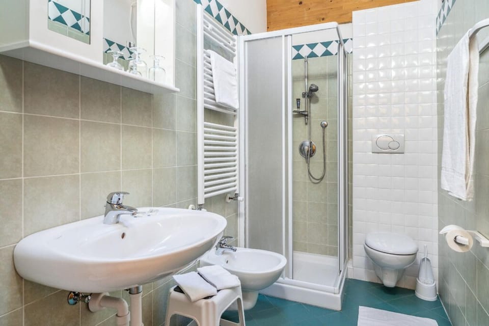 Shower, free toiletries, hair dryer, bidet