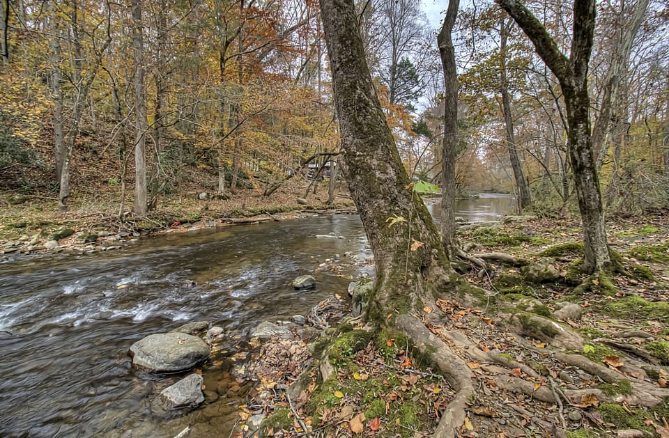 River bank for fishing