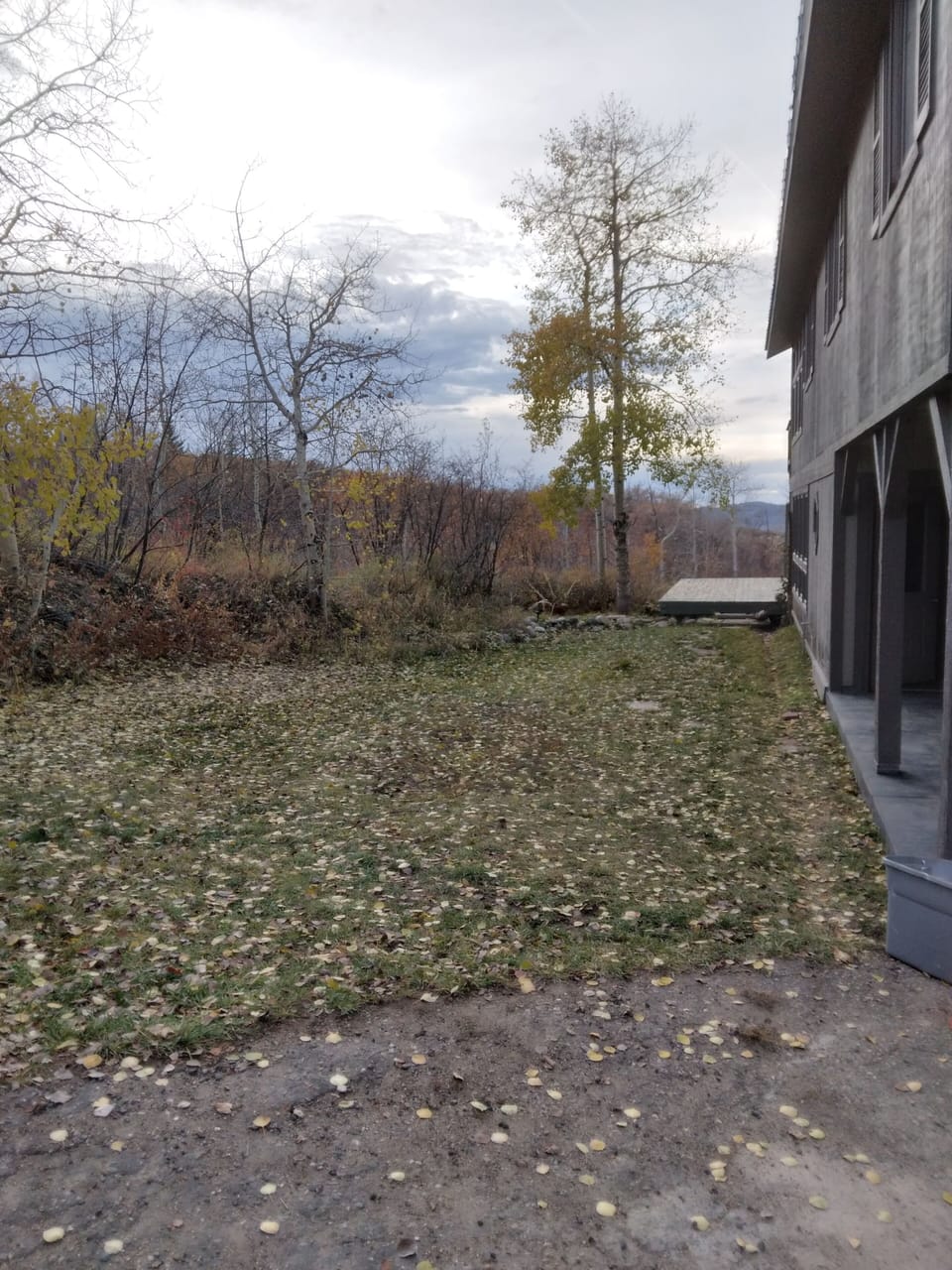 Side Yard and Deck 