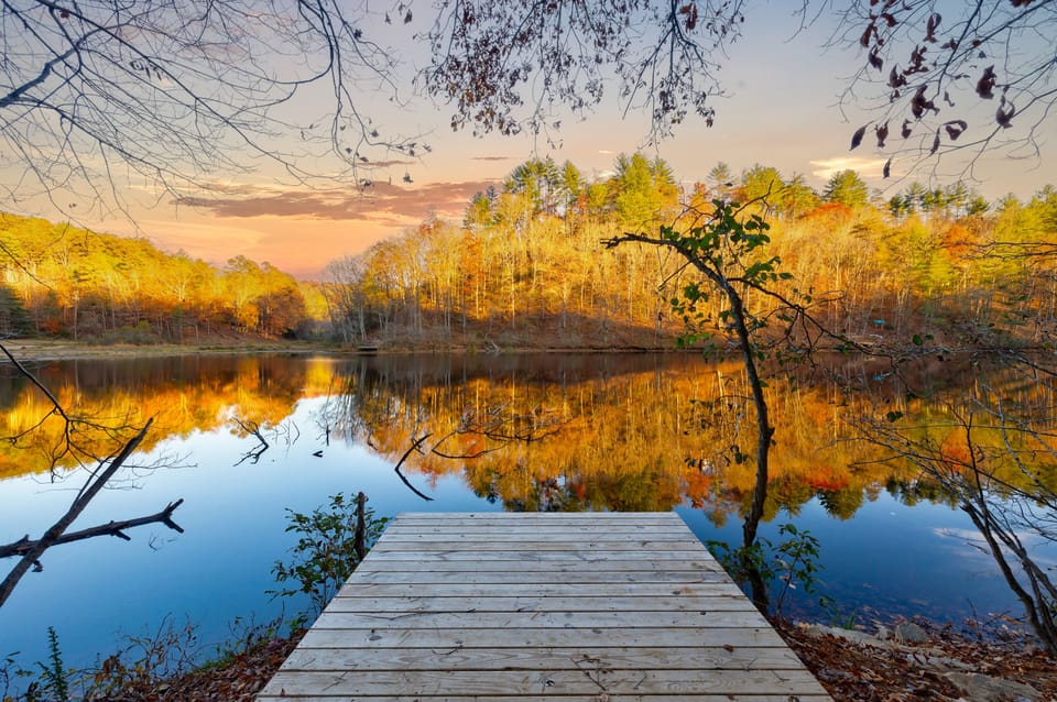 Our beautiful lake view from our private dock. BYO fishing gear and kayak!
