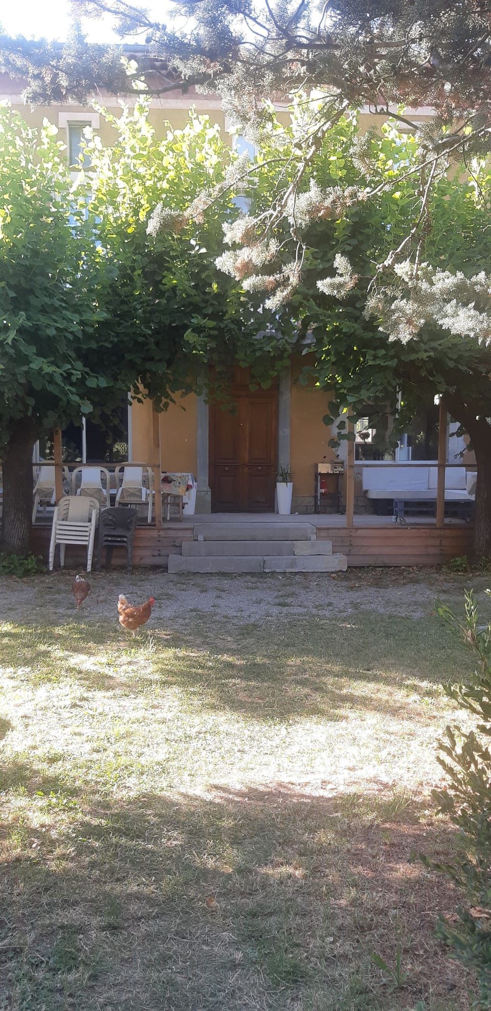 Terrace/patio