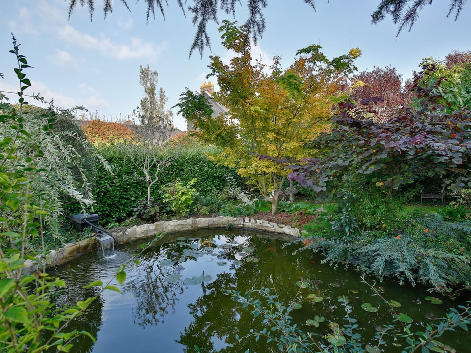 Pretty pond