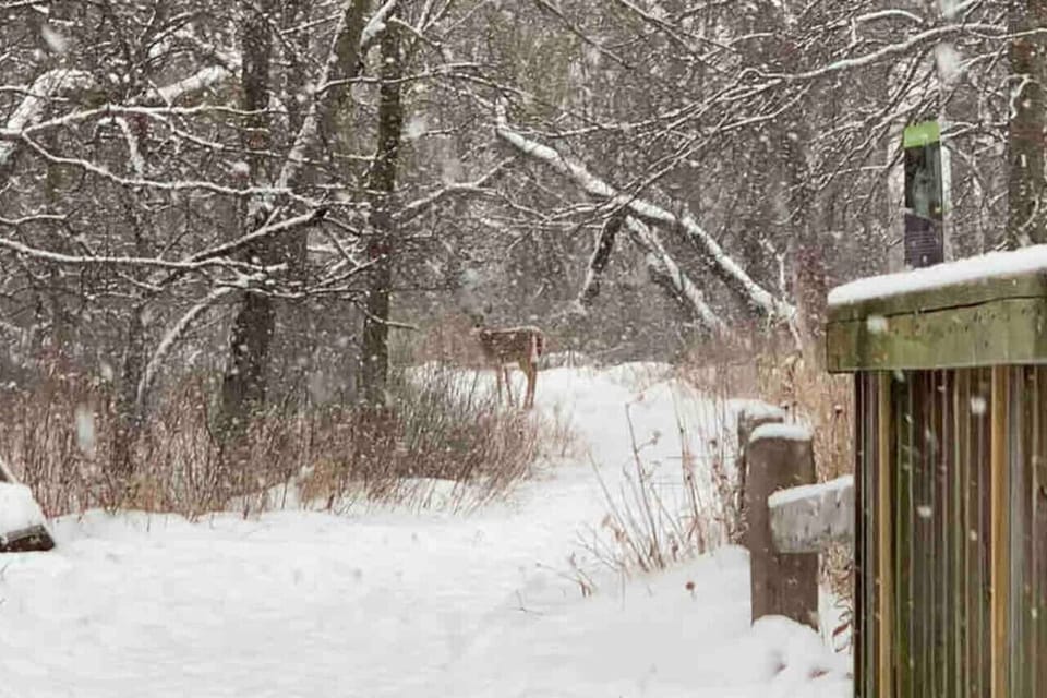 Peterson Park Nature Center, 3 blocks west,  5 min walk away FREE