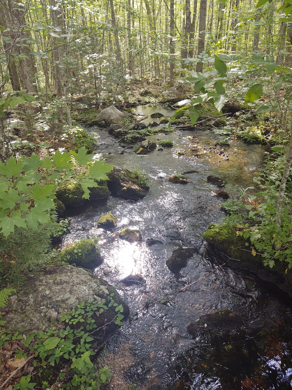 View from one of many Land Trust trails