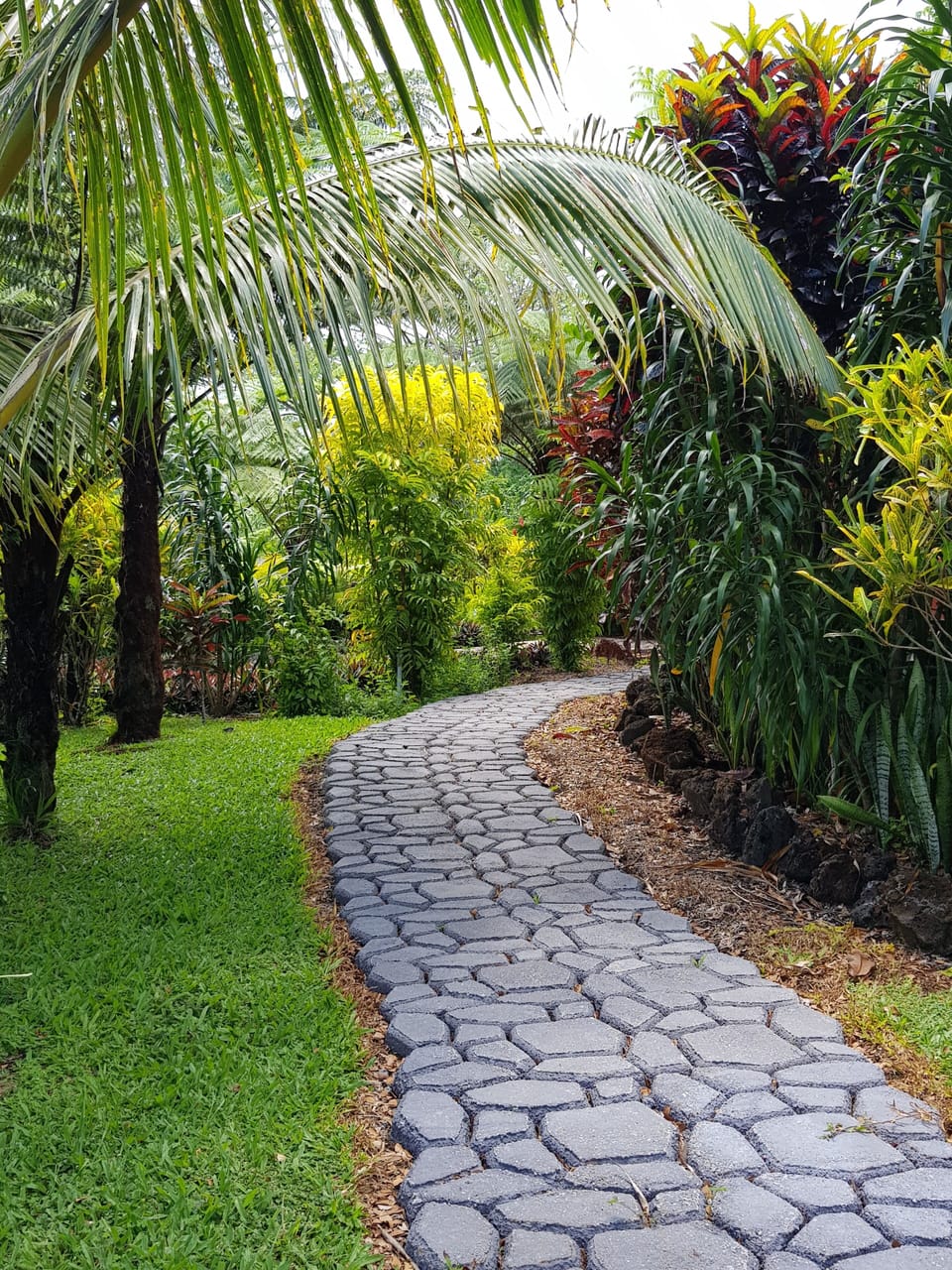 Garden path of tranquility and wonder.