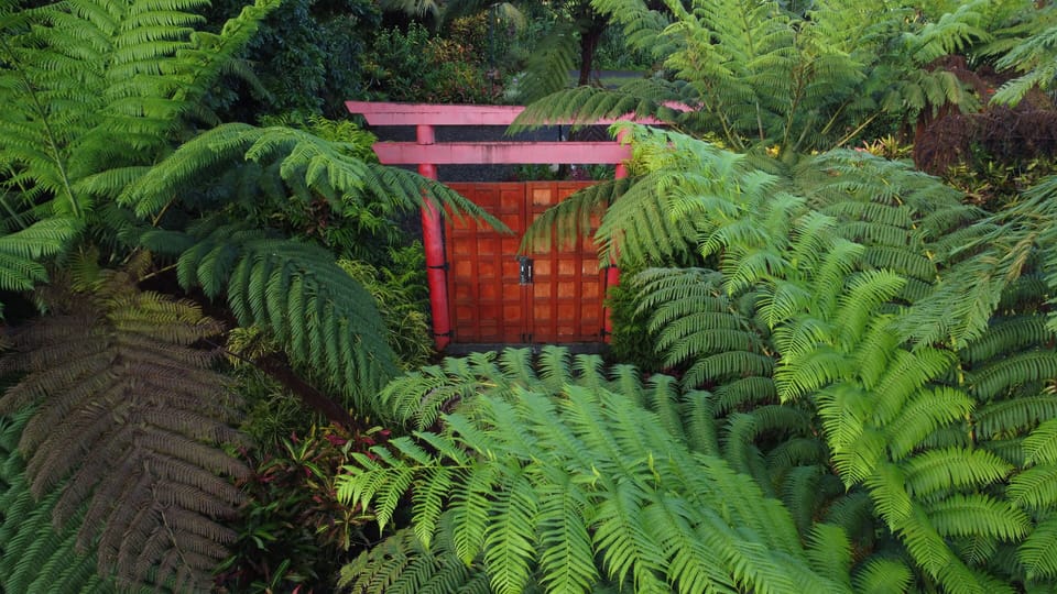 Entrance to lush greenery, vibrant colors and the sounds of nature 