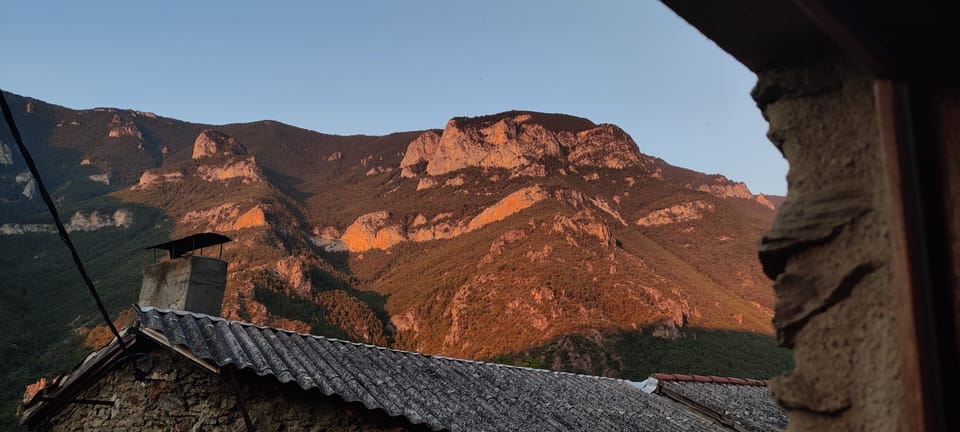 The early morning view from the house