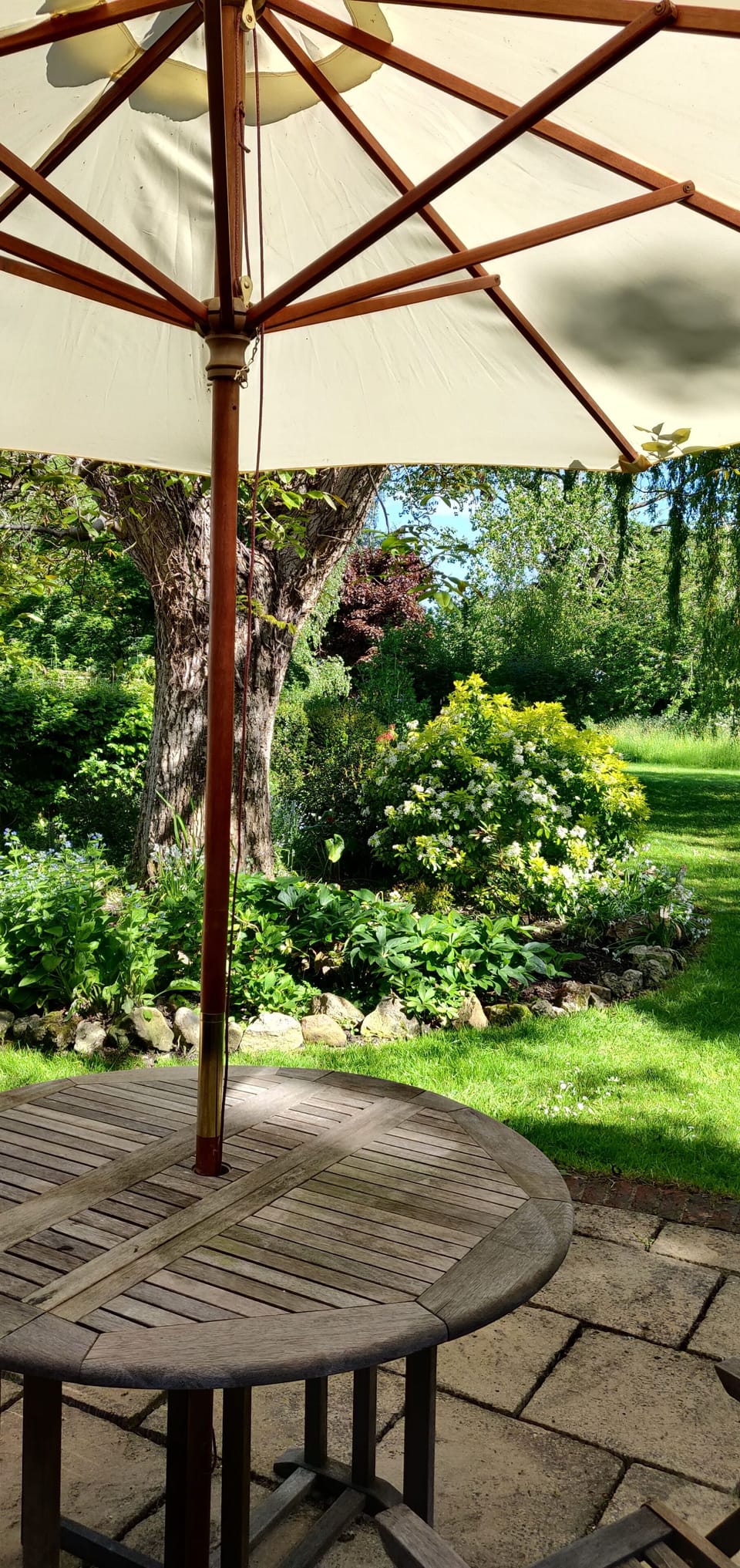 Terrace seating and table, an acre of woodland cottage garden to rear