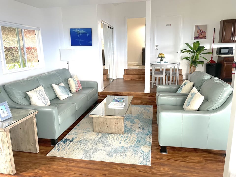 queen size sleeper sofa and two chairs 