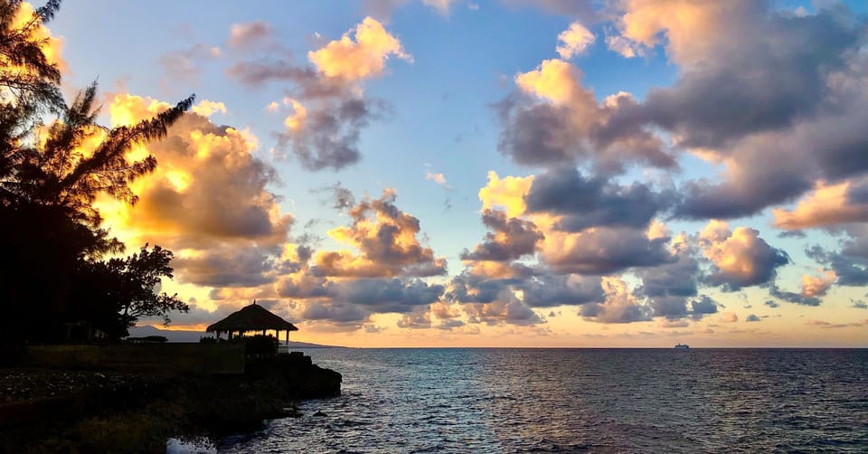 Sea Palms by sunset