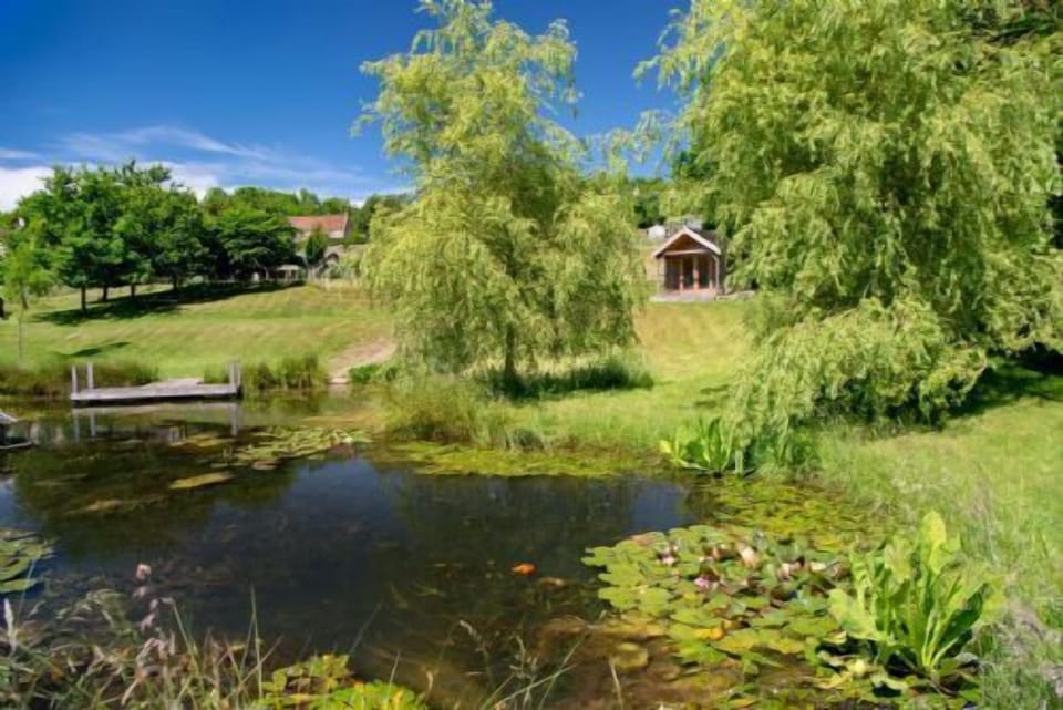 Pond