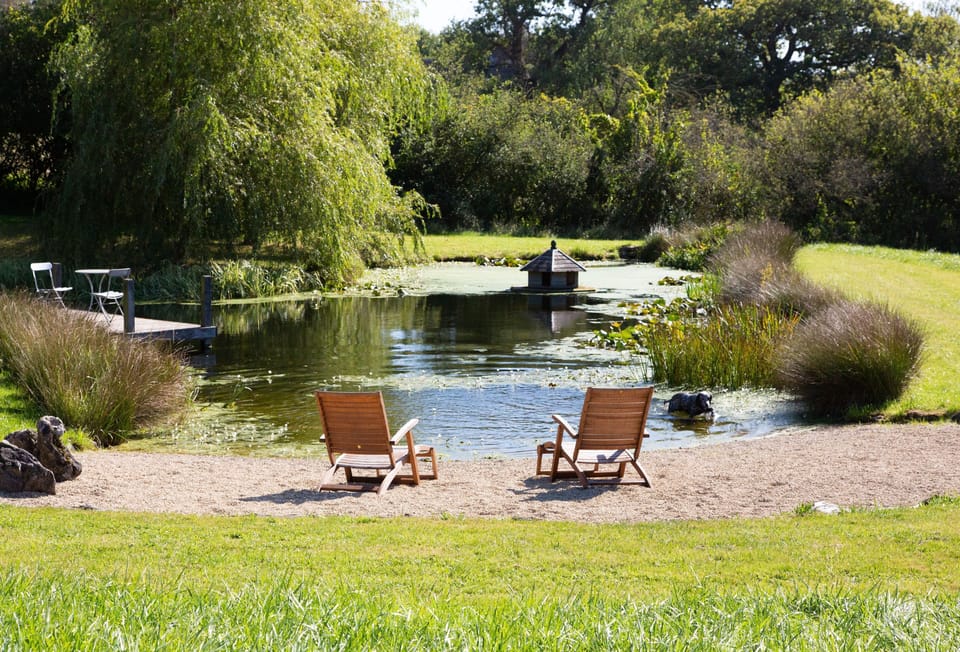 Soak up the sun on the loungers by the pond