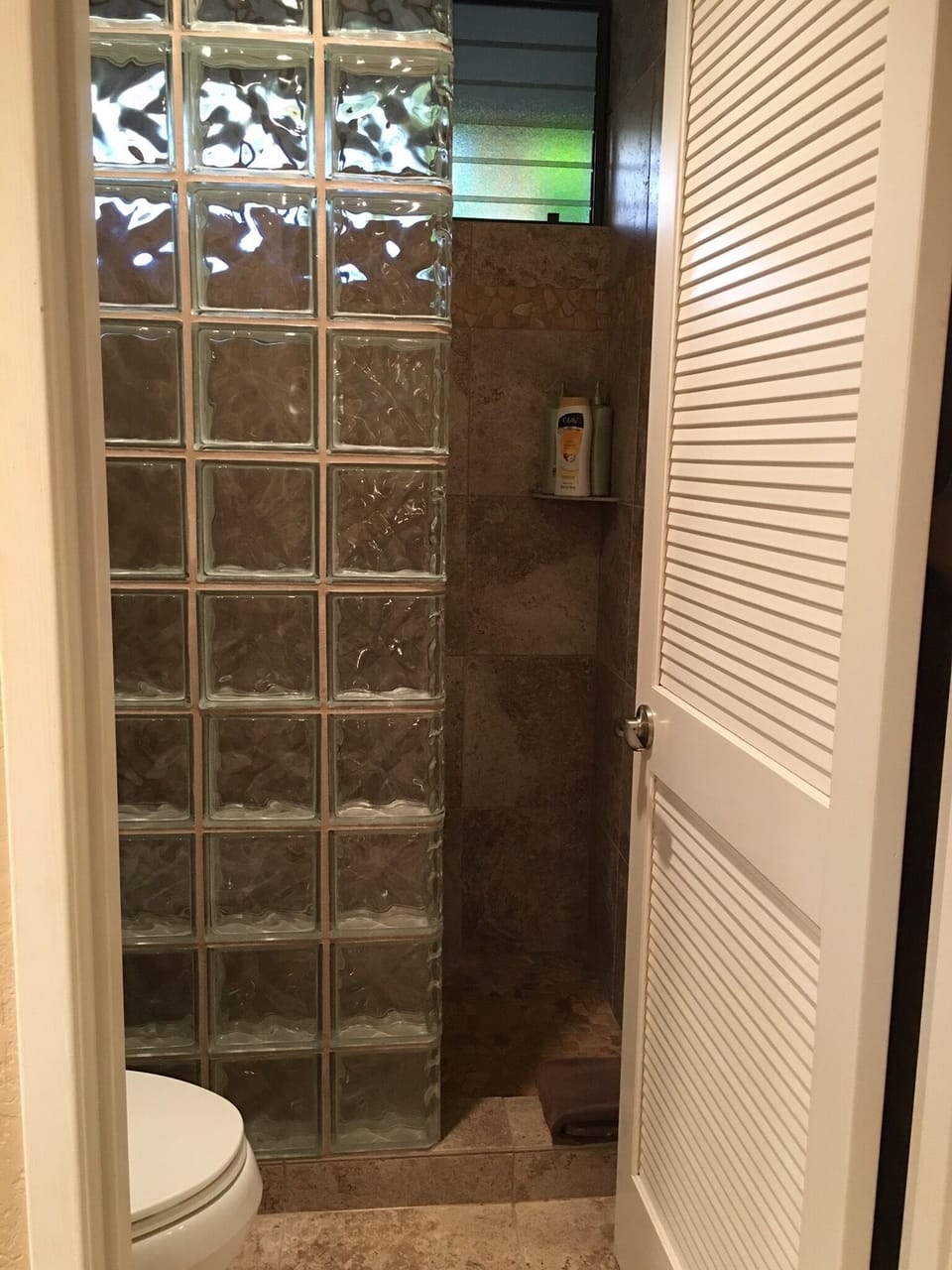 Master toilet/shower area